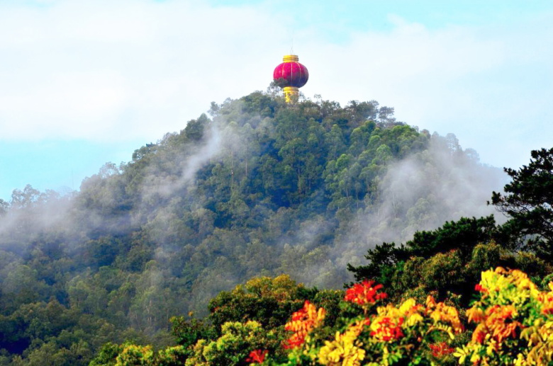 东莞市园林绿化工程有限公司